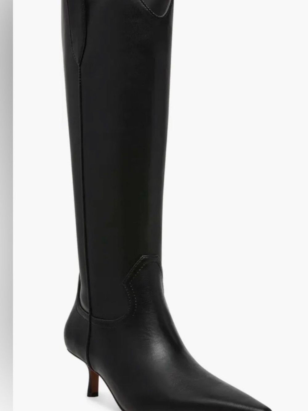 Steven by Steven Madden Britt Black Pointed-Toe Boots